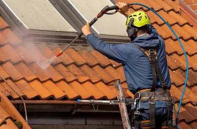 Démoussage et hydrofuge de toiture à Ayrens